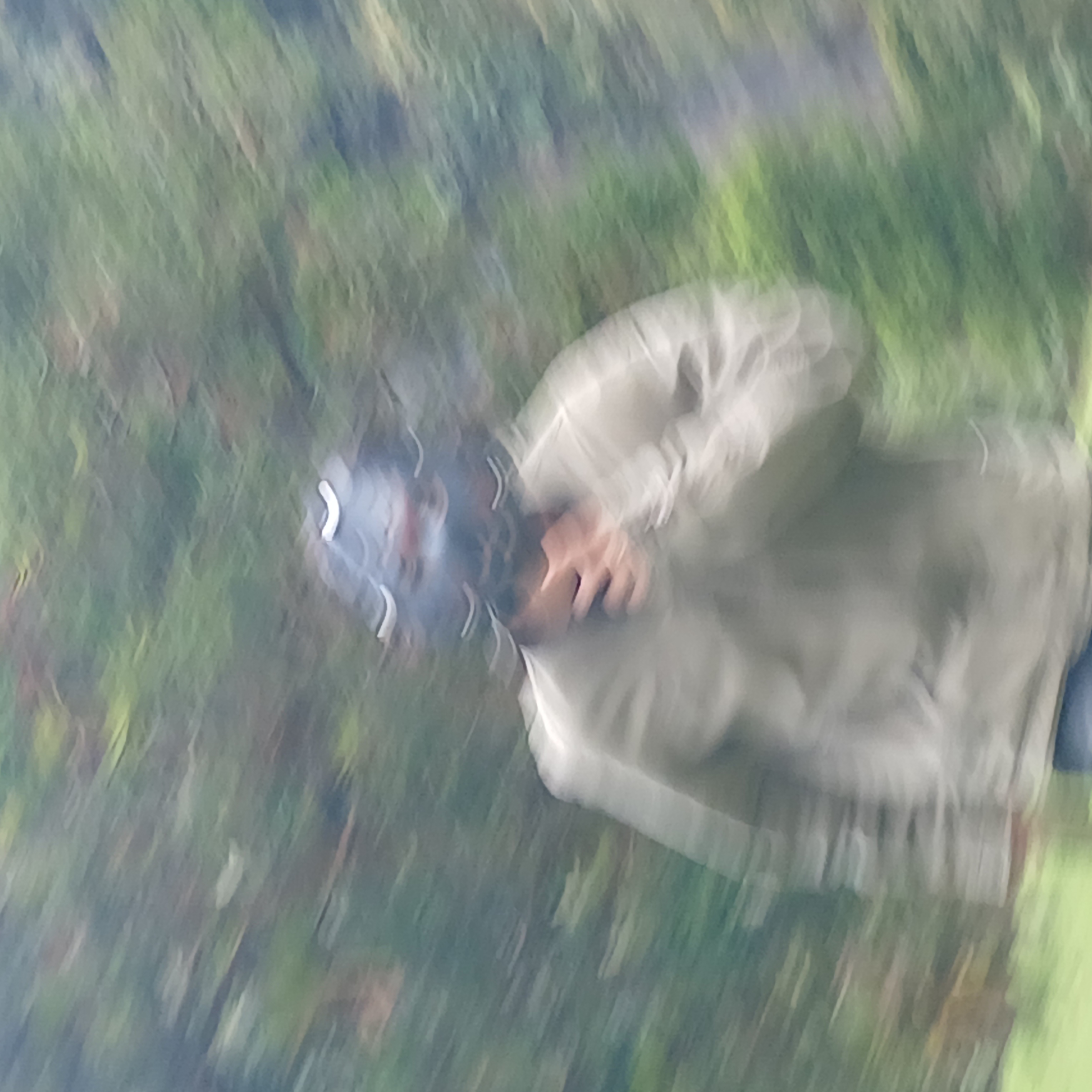 OLDUST 2026